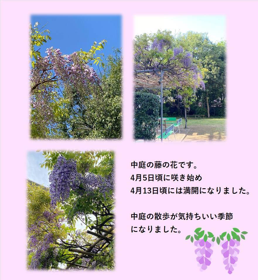 お花見