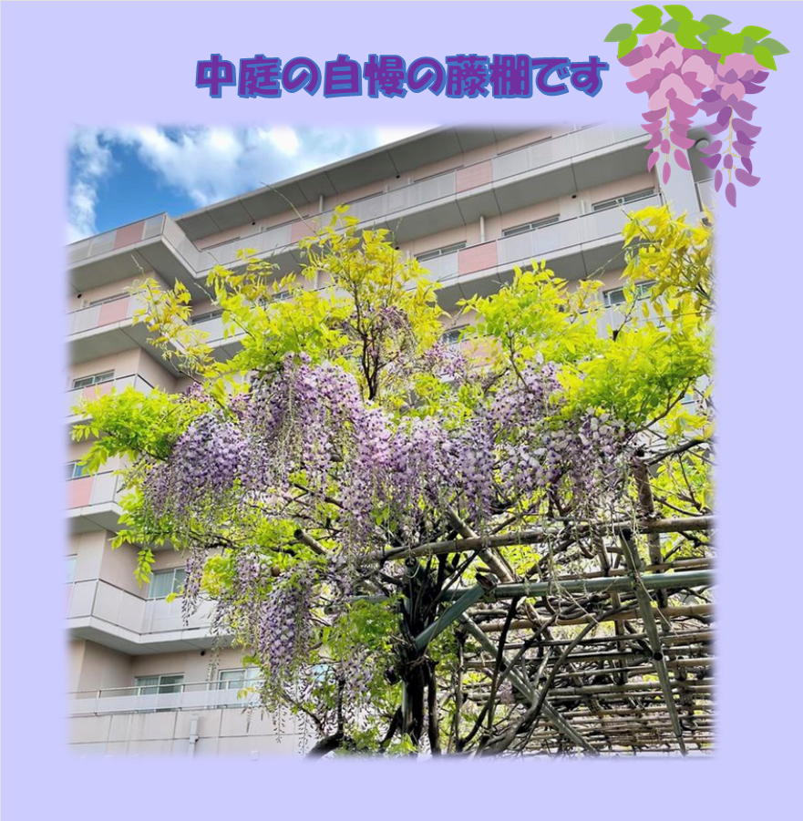 お花見
